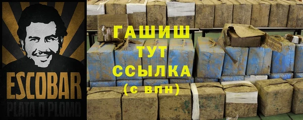 СК Алексин
