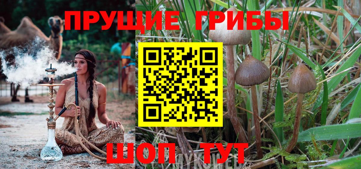 Уссурийск  Псилоцибиновые грибы прущие грибы  Галлюциногенные грибы MAGIC MUSHROOMS  Вход с VPN 