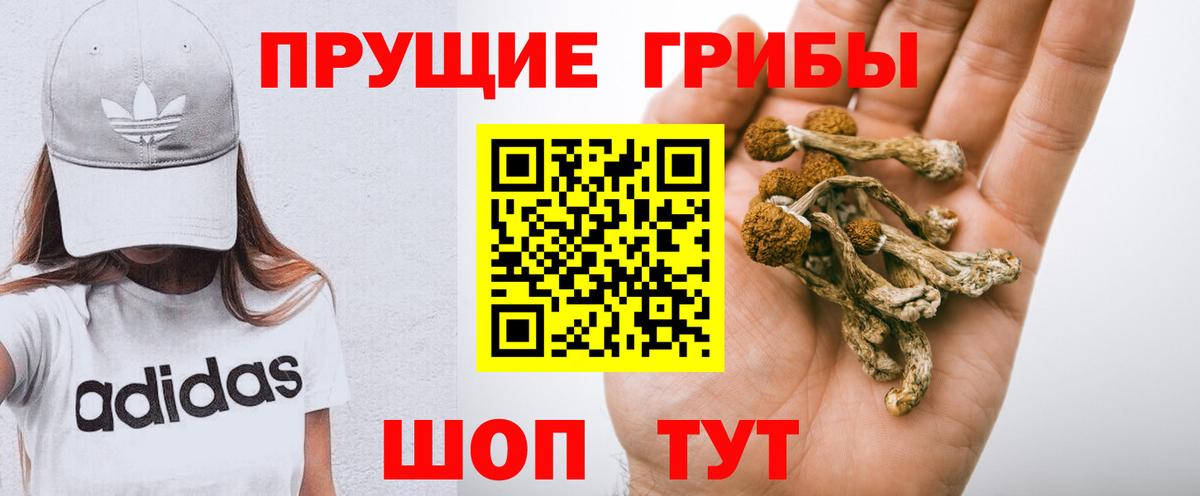 Псилоцибиновые грибы Magic Shrooms Уссурийск